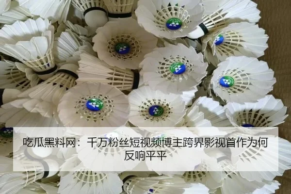 吃瓜黑料网：千万粉丝短视频博主跨界影视首作为何反响平平