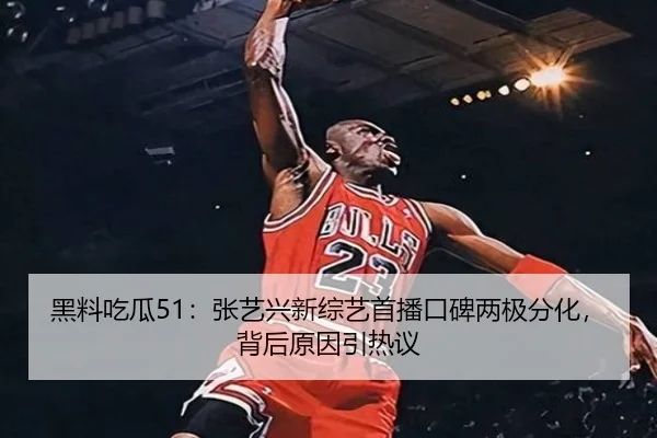 hei-liao-chi-gua-zhang-yi-xing-xin-zong-yi-shou-bo-kou-bei-liang-ji-fen-hua-bei-hou-yuan-yin-yin-re-yi-2-623.jpg